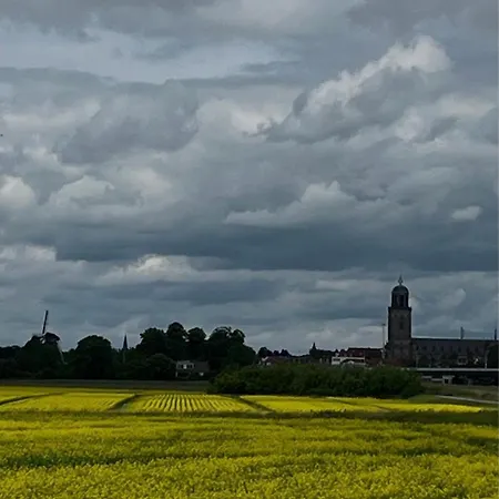 Deventer Heritage en Boutique B&B museumhuis Huize De Worp-2